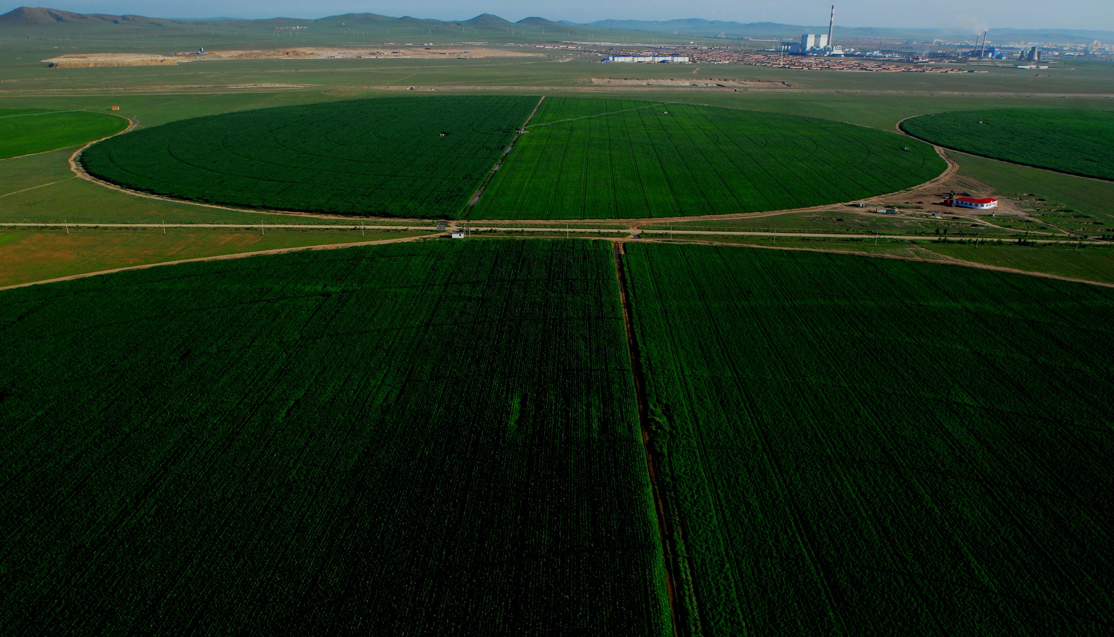 俯瞰.心中的绿色