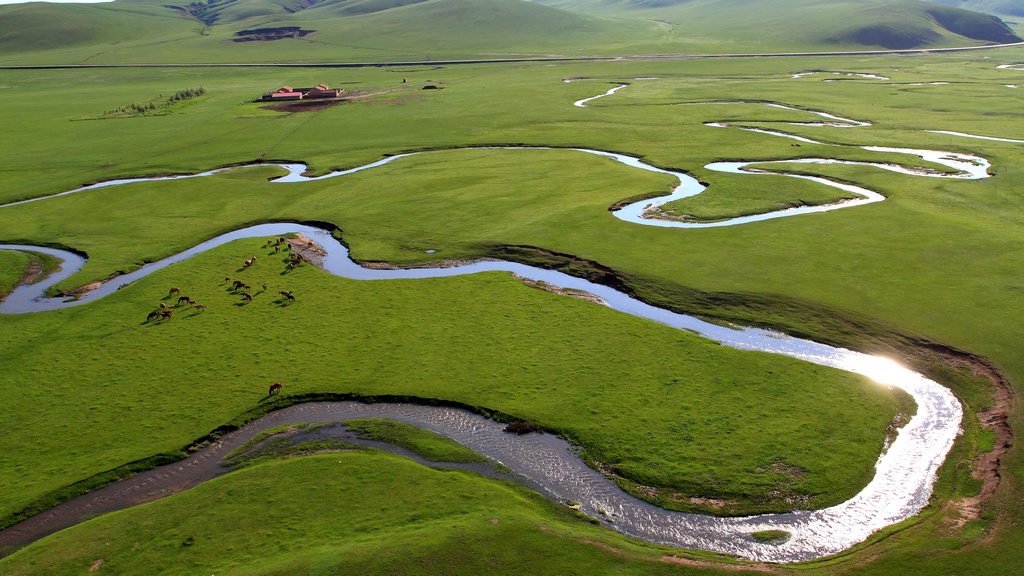 【赌球网站概况】