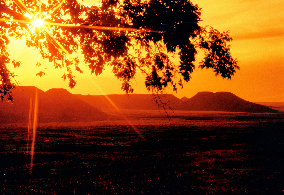 【赌球网站概况】