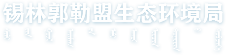 全球最大赌球网站
