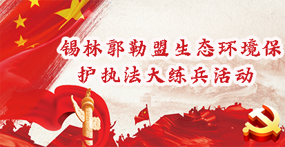 2023年全球最大赌球网站保护执法大练兵活动